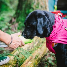 Dog Coats Small Waterproof,Warm Outfit Clothes Dog Jackets Small,Adjustable Drawstring Warm And Cozy Dog Sport Vest-pinksize M