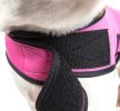 Extreme Neoprene Multi-Purpose Protective Shell Dog Coat