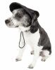 Pet Life 'Cap-Tivating' Uv Protectant Adjustable Fashion Dog Hat Cap